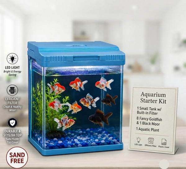 Goldfish Startup All in One Deal 30Cm Tank