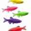 Danio 5PCS Combo Deal (Mix Color)