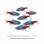 Cardinal Tetra 5PCS Combo Deal