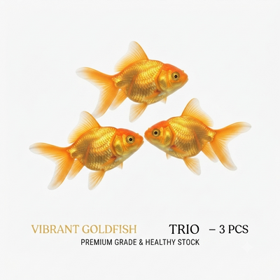 Gold Fish 3PCS Combo Deal (5Cm)