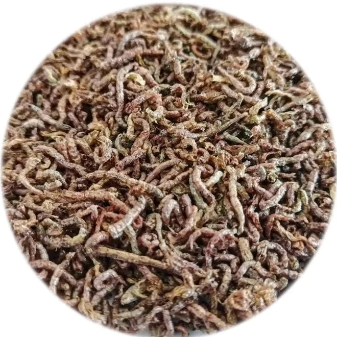 Aquav Freeze-Dried Blood Worms 500ml