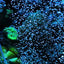 Bubble bar Air Stone For Aquarium