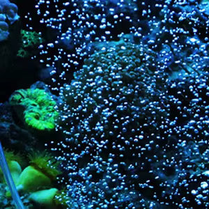 Bubble bar Air Stone For Aquarium
