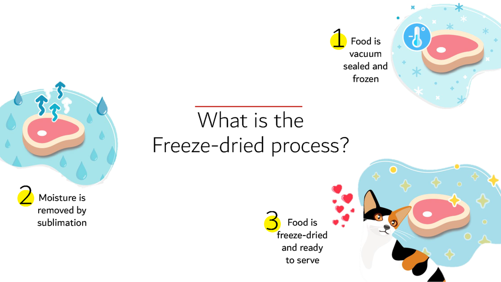 Happi Skippi Just Freeze-Dried Treat Duck&Coconut for Cats and Dogs 10g