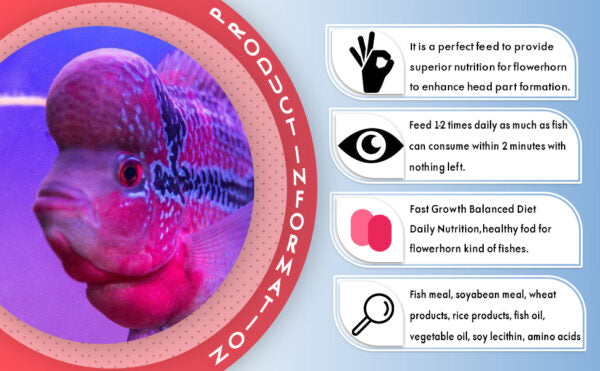 HORIZONE ROYAL FLOWER HORN FISH FOOD 100G