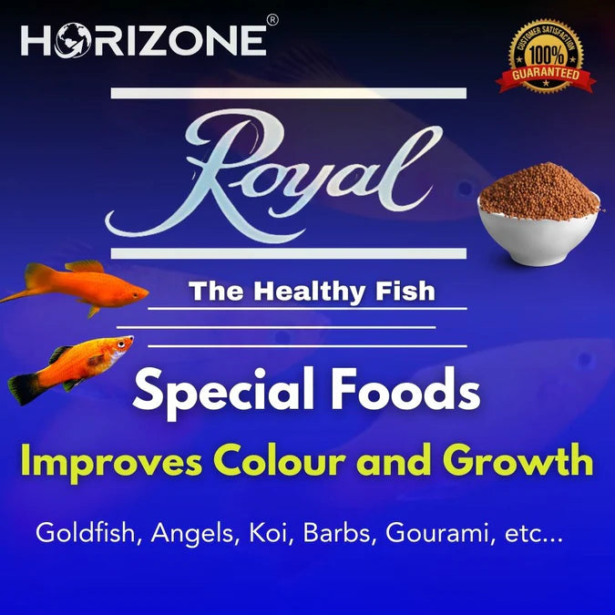 HORIZONE ROYAL SPECIAL FOODS 22G