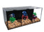 Betta Fish Tank