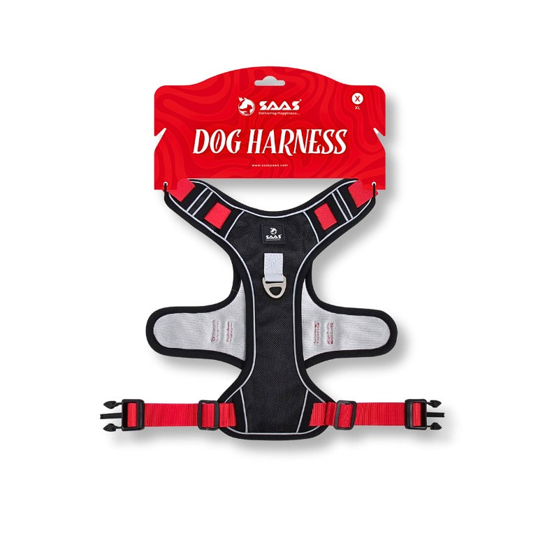 DOG ACCESSORIES