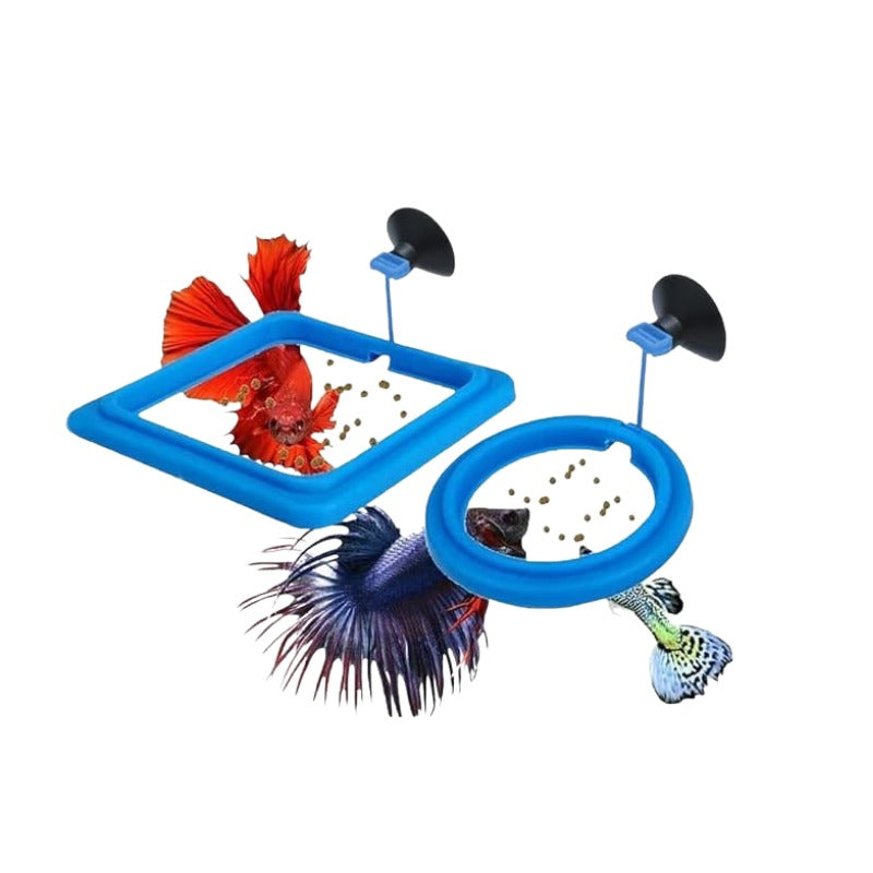 BUOYANCY FEEDING CIRCLE