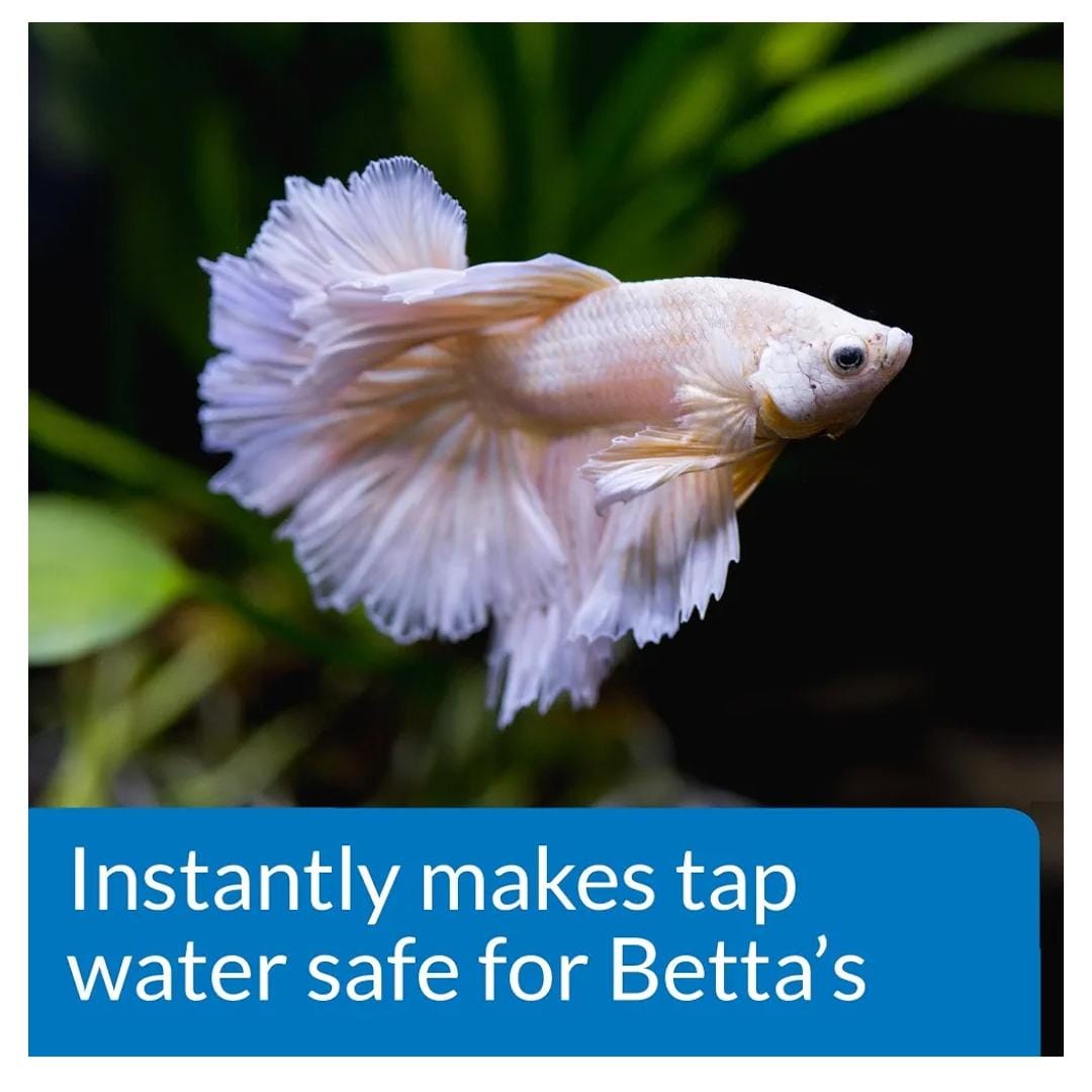 API BETTA WATER CONDITIONER 50ML