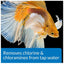 API BETTA WATER CONDITIONER 50ML