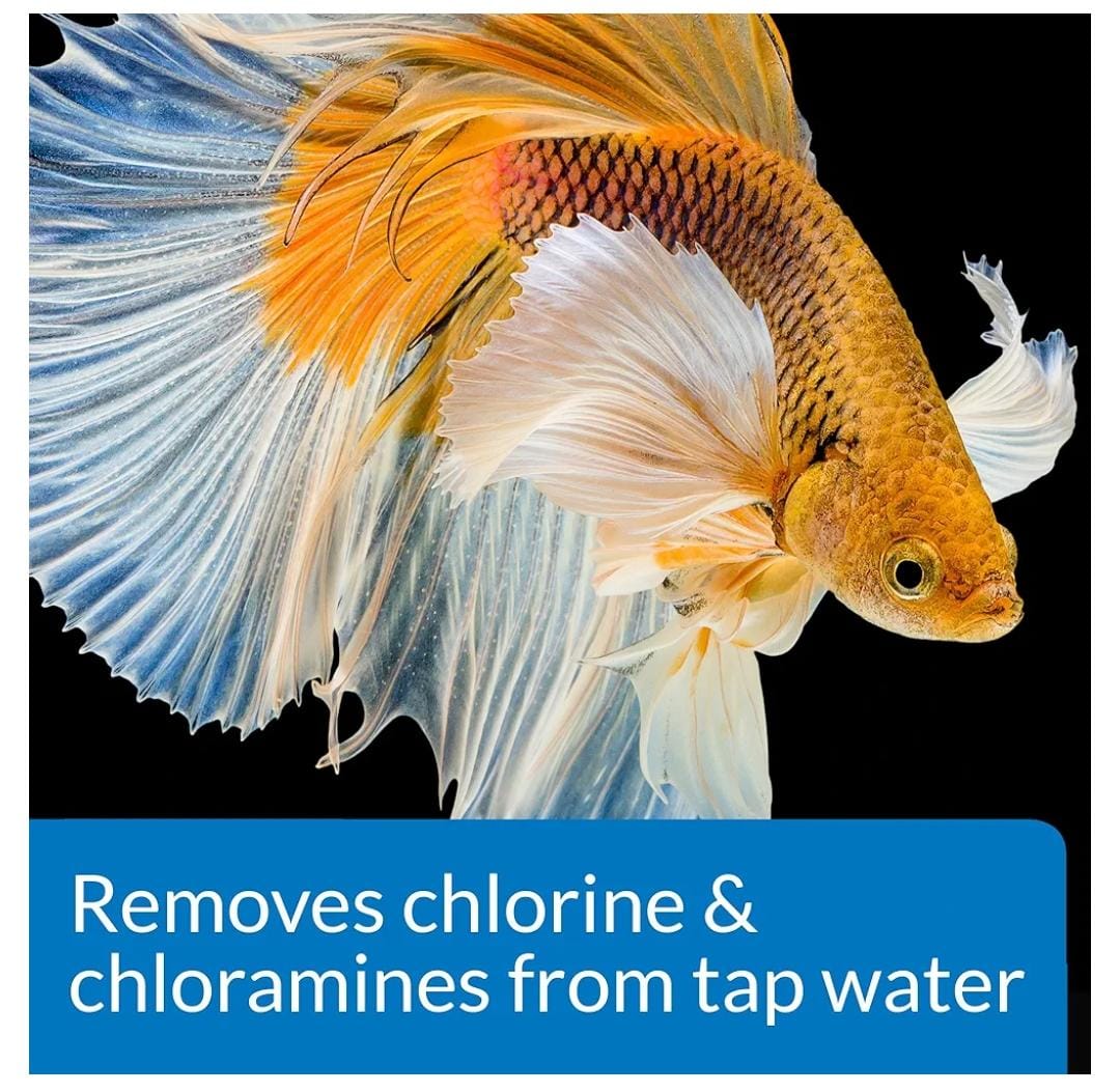 API BETTA WATER CONDITIONER 50ML