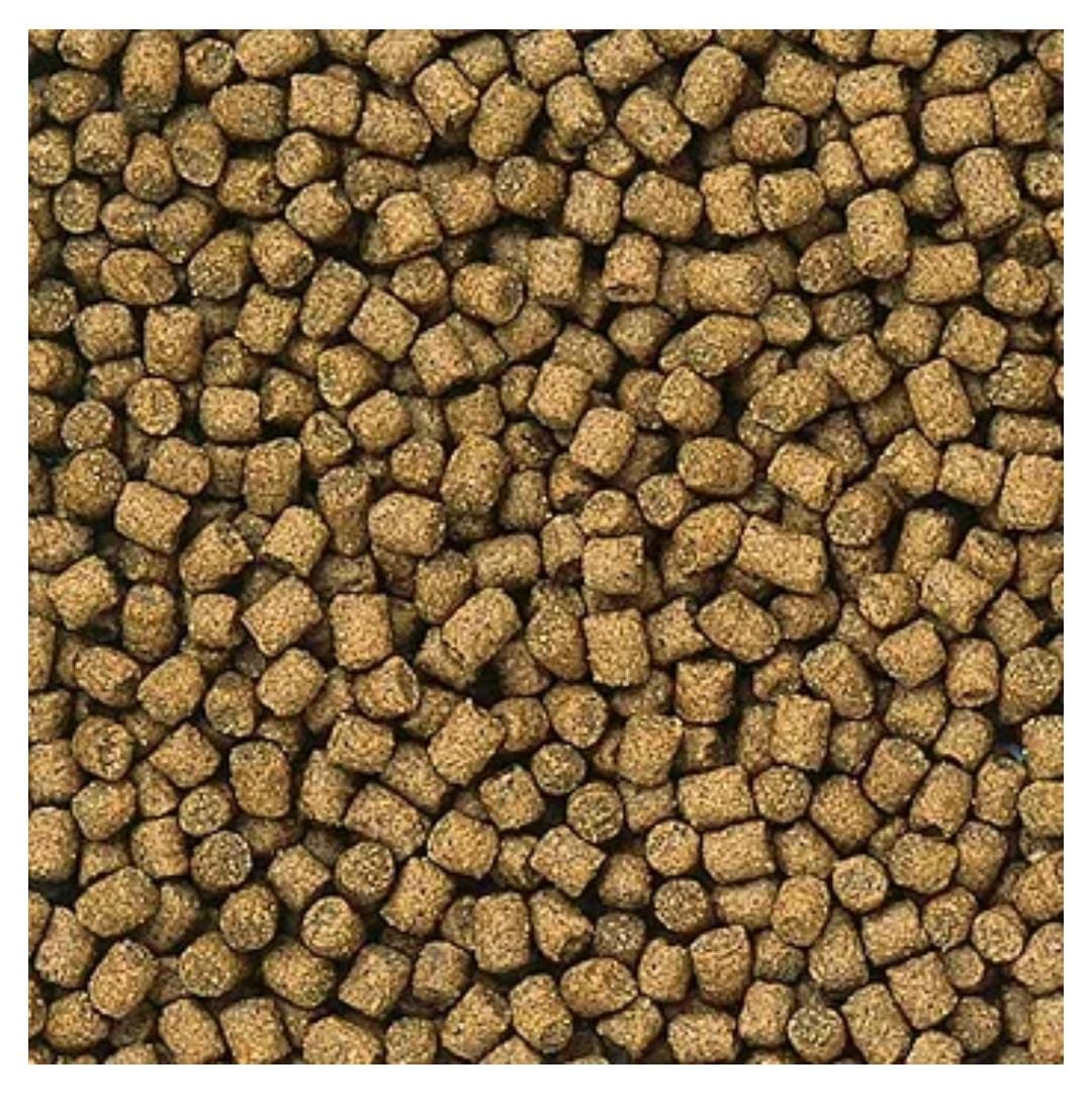 HIKARI LIONHEAD 350G