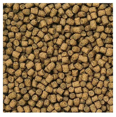 HIKARI LIONHEAD 350G