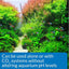 API CO2 BOOSTER 237ML