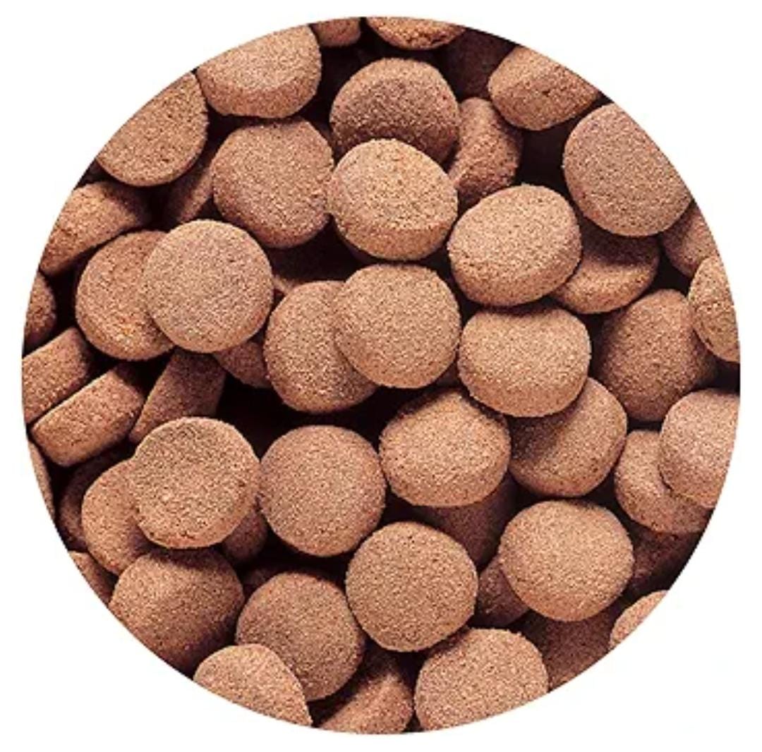 HIKARI MASSIVORE DELITE FOOD 380G