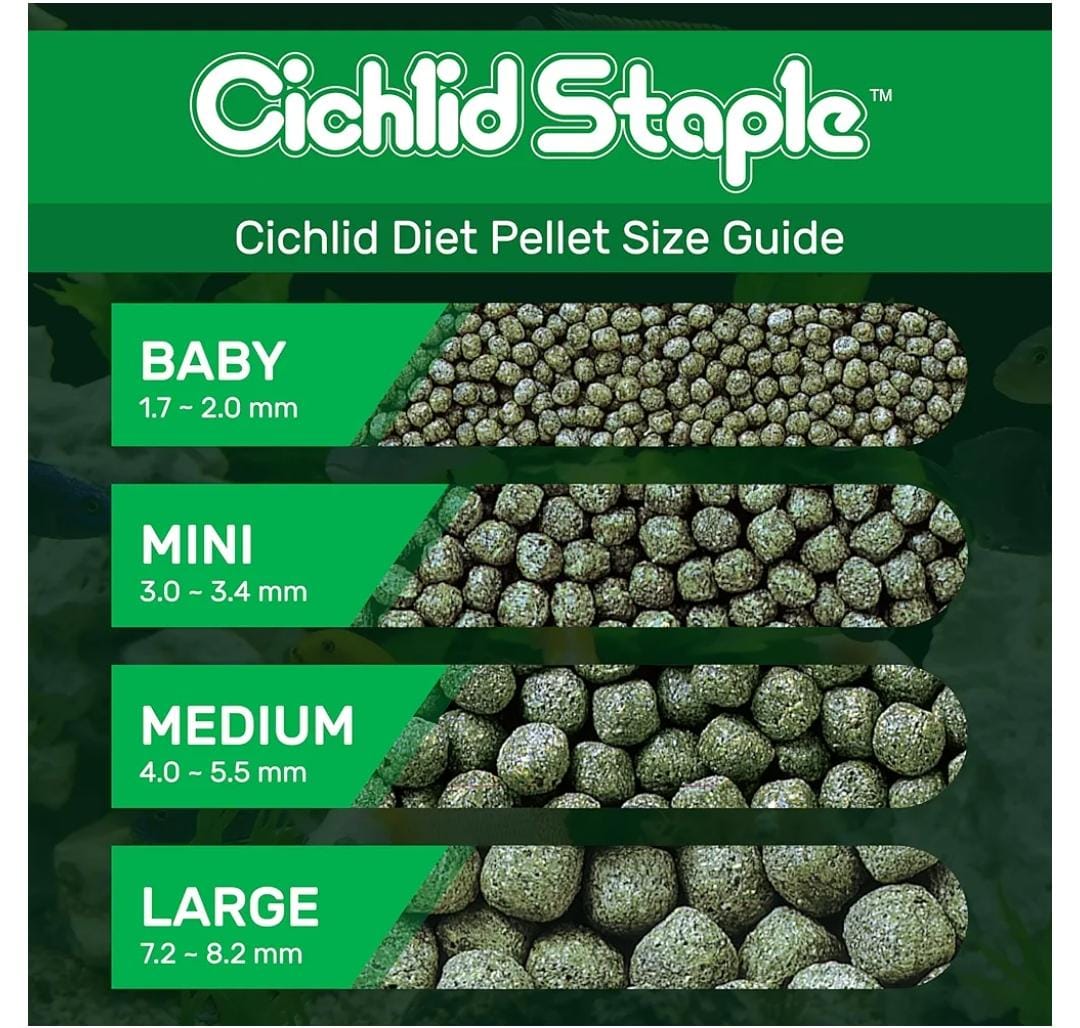 HIKARI CICHLID STAPLE BABY PELLETS 57G