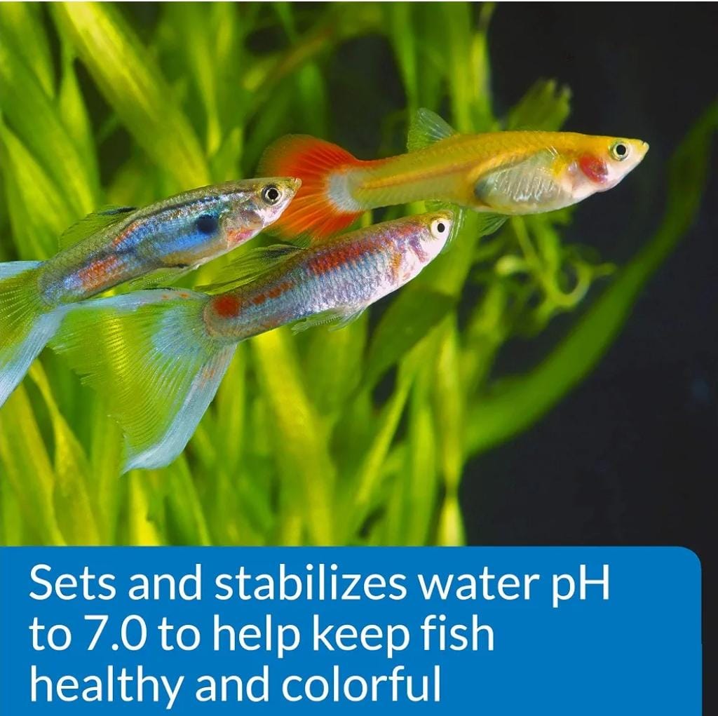 API PROPER PH 8.2 210G