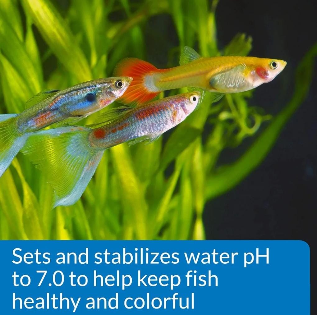 API PROPER PH 7.0 250G