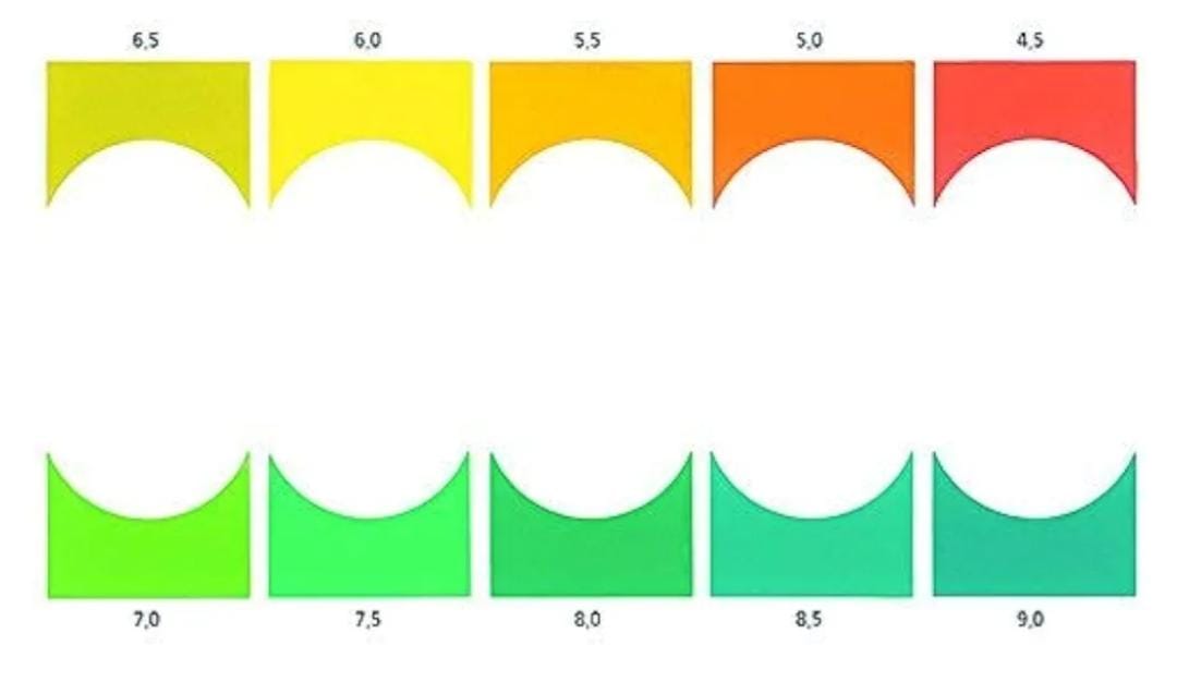 Sera pH Test