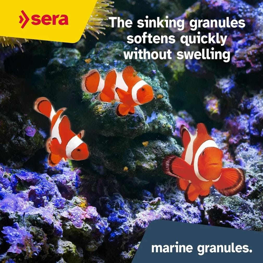 Sera Marine Granules Staple Fish Food, 250ml