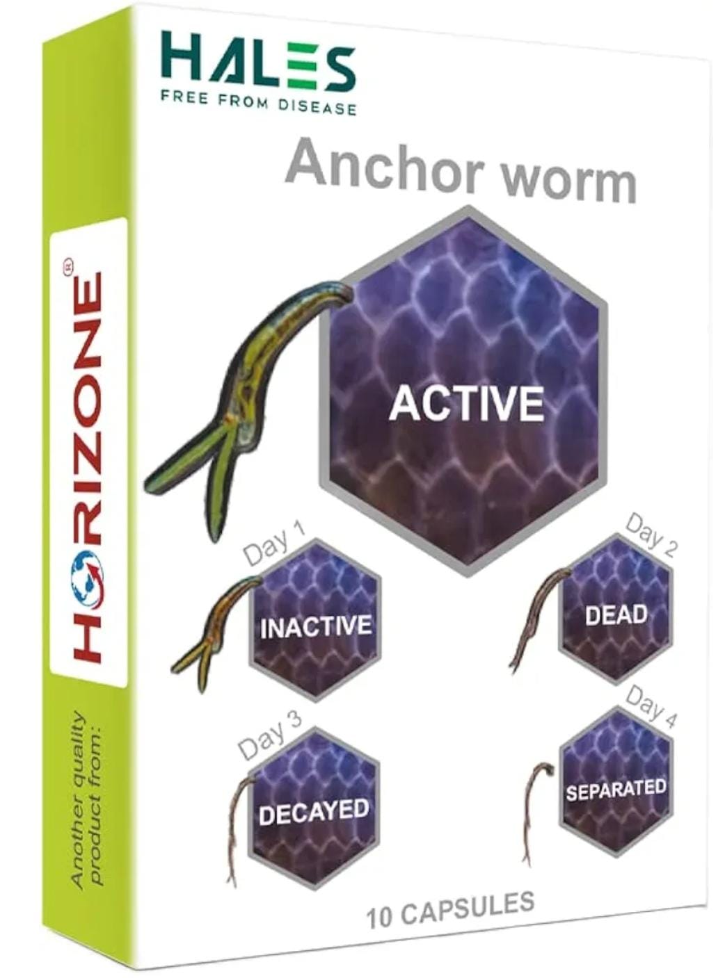 HALES ANCHOR WORM CAPSULE