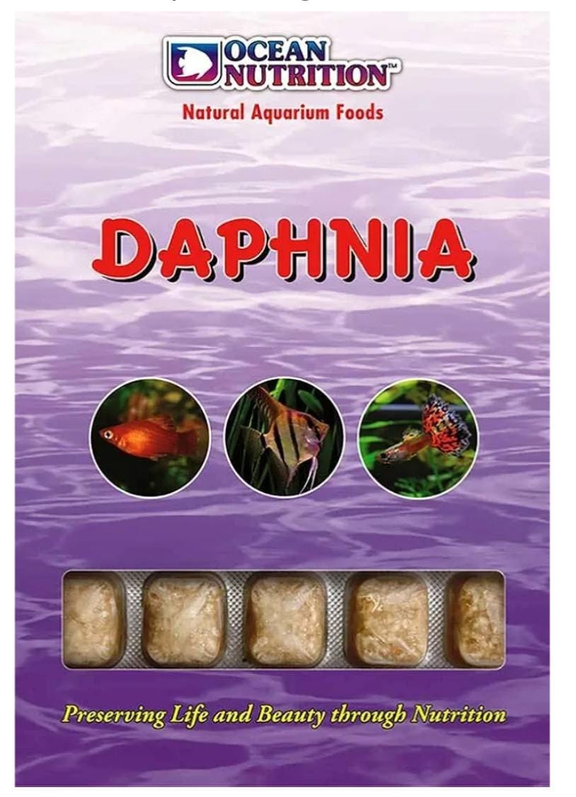 Ocean Nutrition Frozen Daphnia