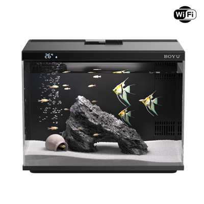 Pawgether Cooke 1SP Smart Aquarium [Wifi and App Control] 30L