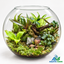Enchanted Forest Glass 16-inch Glass Bowl Terrarium(Ready Made)