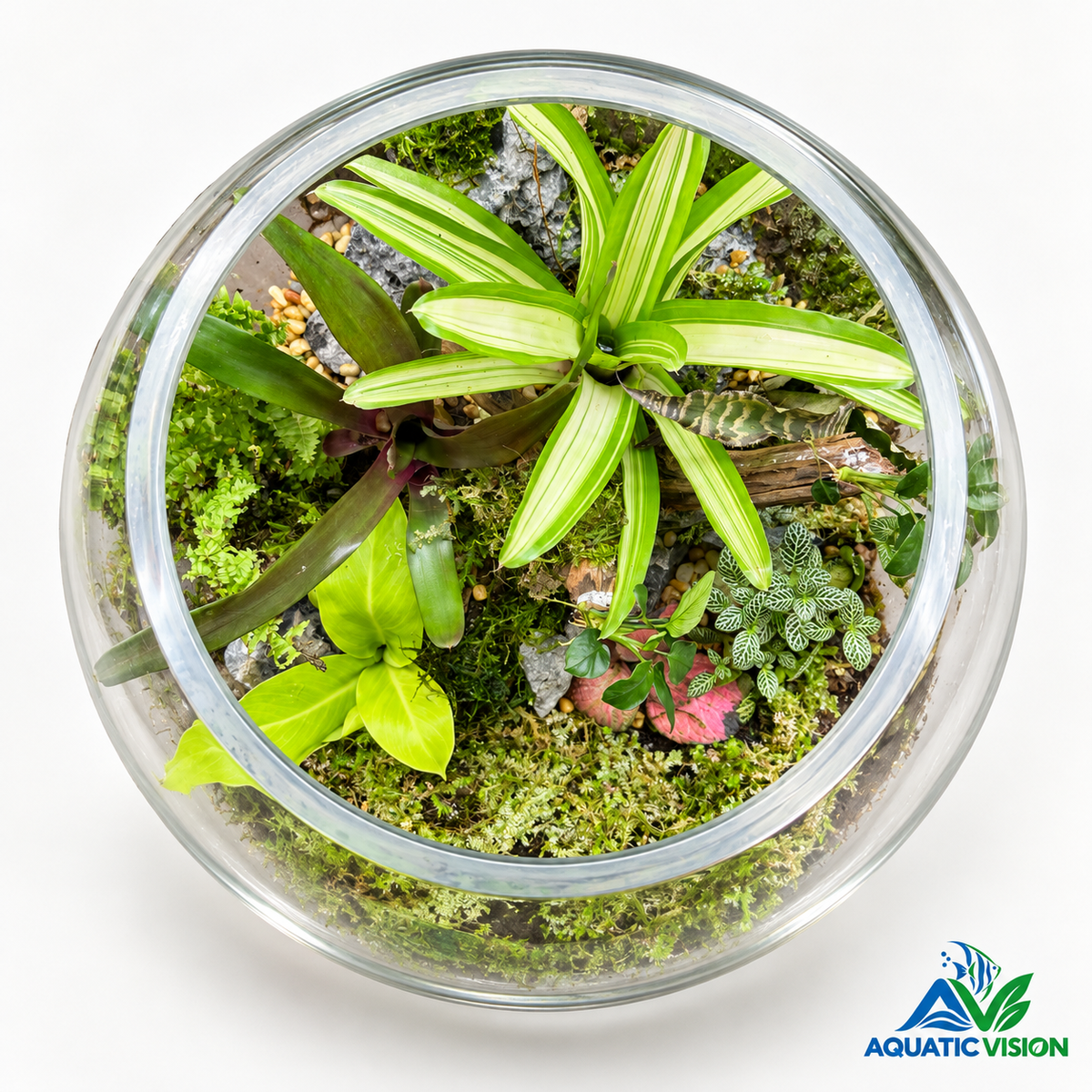 Enchanted Forest Glass 16-inch Glass Bowl Terrarium(Ready Made)