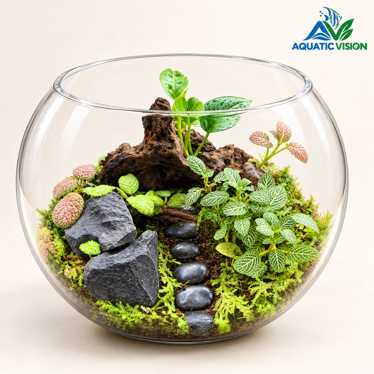 Emerald Trail – 10-Inch Tropical Glass Terrarium(Ready Made)