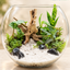 Moonlit Grove – 10-Inch Glass Terrarium