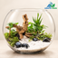 Moonlit Grove – 10-Inch Glass Terrarium