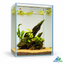Emerald Root — Mini Planted Aquascape (15 × 15 × 20 cm)
