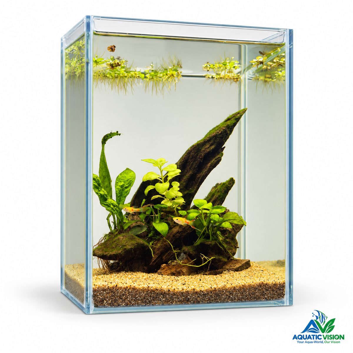 Emerald Root — Mini Planted Aquascape (15 × 15 × 20 cm)