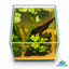 Emerald Root — Mini Planted Aquascape (15 × 15 × 20 cm)