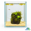 Emerald Rock Nano Aquascape(15x15x20cm)