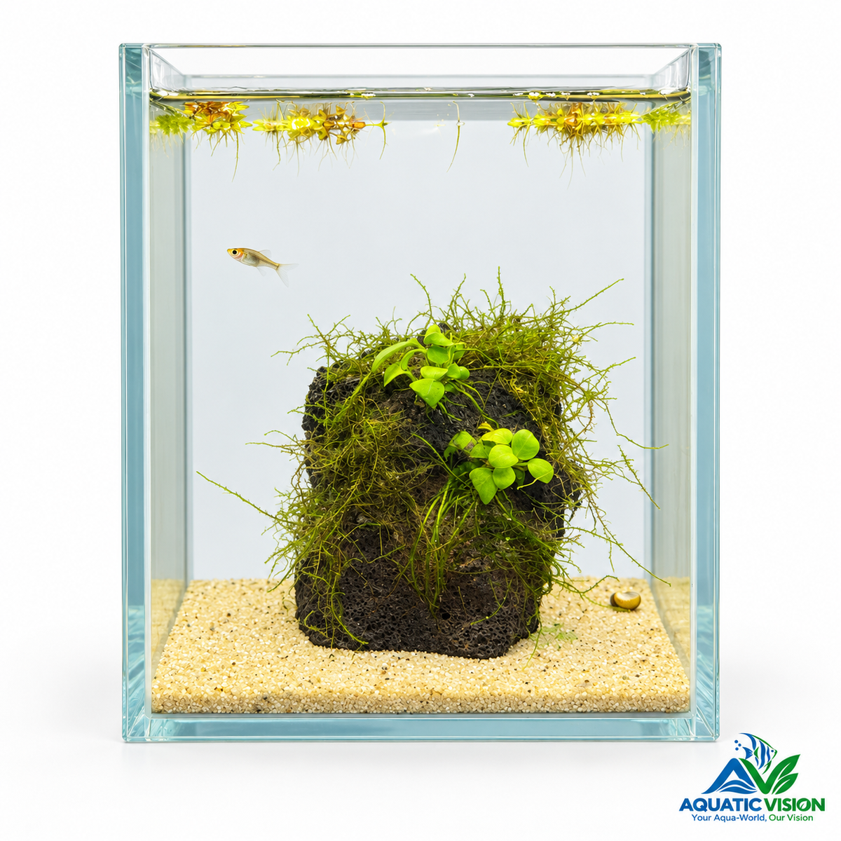 Emerald Rock Nano Aquascape(15x15x20cm)