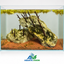 Emerald Cliff – Natural Nano Aquascape (26 × 17 × 20 cm)