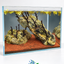 Emerald Cliff – Natural Nano Aquascape (26 × 17 × 20 cm)