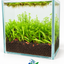 Lush Green Oasis – Planted Nano Aquascape(14x14x15)