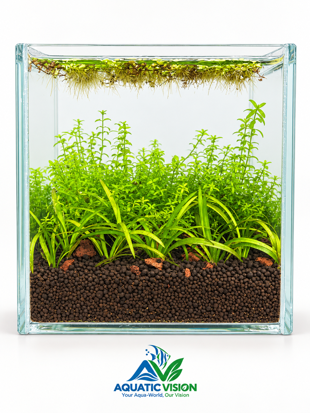 Lush Green Oasis – Planted Nano Aquascape(14x14x15)