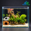 Ruby Moss Hideaway – Premium Planted Aquascape Aquarium