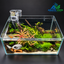 Ruby Moss Hideaway – Premium Planted Aquascape Aquarium