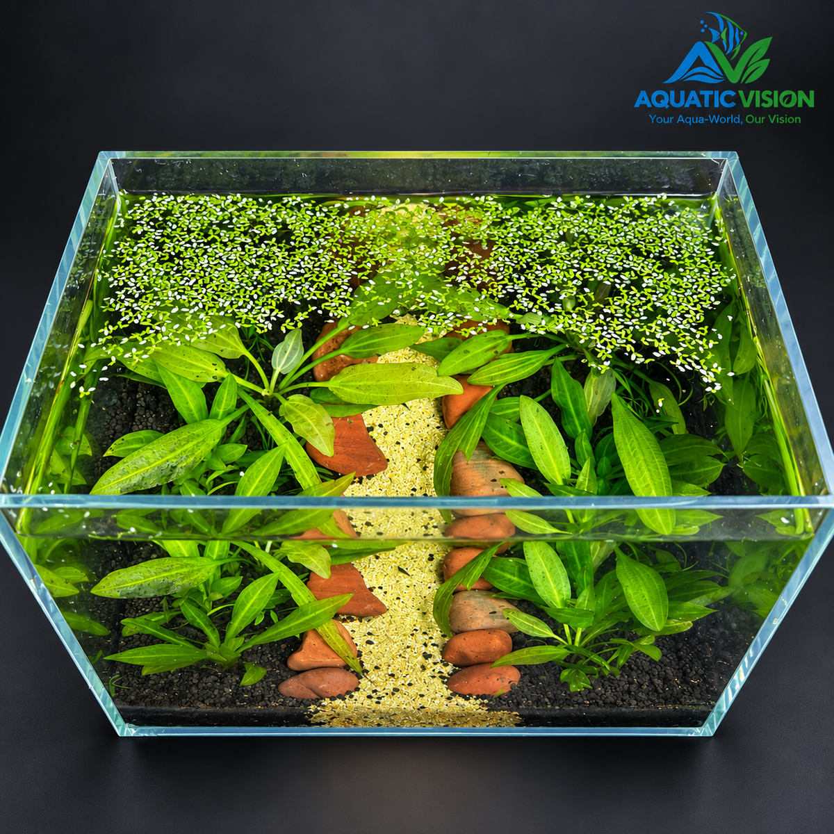 Emerald Garden Path – Premium Planted Aquascape Aquarium