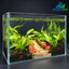 Emerald Garden Path – Premium Planted Aquascape Aquarium