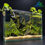 Emerald Canopy – Premium Driftwood Planted Nano Aquarium