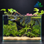 Emerald Canopy – Premium Driftwood Planted Nano Aquarium