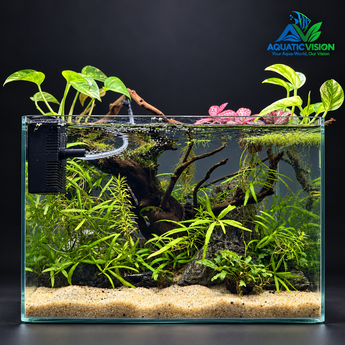 Emerald Canopy – Premium Driftwood Planted Nano Aquarium