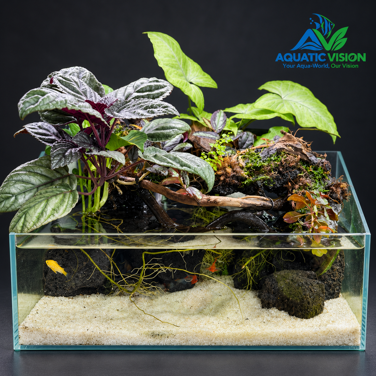 Silver Canopy – Premium Tropical Paludarium Aquarium